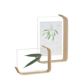 Acryl-Holz-Fotorahmen Herbarium-Display-Rahmen